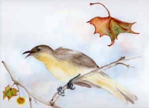 Singing Bird in Sycamore Tree watercolor